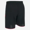 Albania National Team FSHF 2026/27 Adults’ Home Shorts Albania National Team FSHF 2026/27 Adults’ Home Shorts