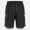 Albania National Team FSHF 2026/27 Adults’ Sports Shorts Albania National Team FSHF 2026/27 Adults’ Sports Shorts