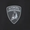 Automobili Lamborghini Men’s Sports Shorts Automobili Lamborghini Men’s Sports Shorts