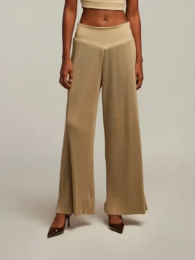 Chirsten Wide pant plisset