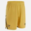 Crystal Palace FC 2025/26 Adults’ Eagle Gold Shorts