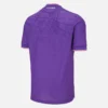 FK Austria Wien 2025/26 Adults’ Home Match Jersey FK Austria Wien 2025/26 Adults’ Home Match Jersey