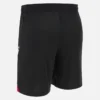 Georgian Football Federation 2025/26 Adults’ Away Shorts Georgian Football Federation 2025/26 Adults’ Away Shorts