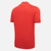 Hannover 96 2025/26 Jersey Special Edition Hannover 96 2025/26 Jersey Special Edition
