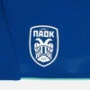 PAOK FC 2025/26 Adults’ Fourth Match Shorts