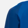Skarn contact top Skarn contact top