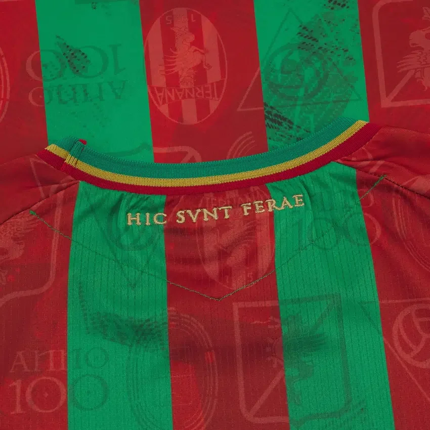 Ternana Calcio 2025/26 Adults’ Home Match Jersey Ternana Calcio 2025/26 Adults’ Home Match Jersey