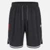 Welsh Rugby 2025/26 Basketball Shorts Welsh Rugby 2025/26 Basketball Shorts