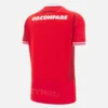 Welsh Rugby 2025/26 Home Match Shirt Welsh Rugby 2025/26 Home Match Shirt