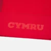 Welsh Rugby 2025/26 Home Match Shirt Welsh Rugby 2025/26 Home Match Shirt
