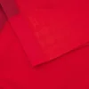 Welsh Rugby 2025/26 Home Match Shirt Welsh Rugby 2025/26 Home Match Shirt