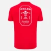 Welsh Rugby 2025/26 Red Fan Tee