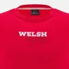 Welsh Rugby 2025/26 Red Fan Tee