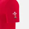 Welsh Rugby 2025/26 Red Fan Tee